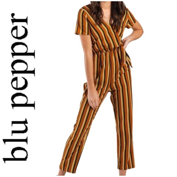 Blu Pepper Pants & Jumpsuits Blu Pepper Satina Striped Jumpsuit